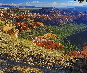 Skały, Bryce Canyon, Góry, Trawa, Utah, Drzewa, Stany Zjednoczone, Park Narodowy Bryce Canyon