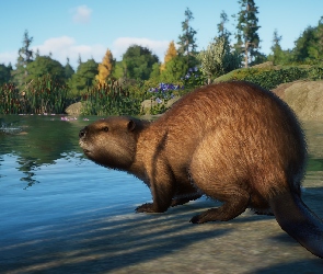 Planet Zoo, Gra, Bóbr europejski, Jezioro