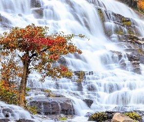 Drzewo, Mae Ya Waterfall, Jesień, Wodospad, Chiang Mai, Skały, Tajlandia, Park Narodowy Doi Inthanon