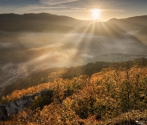 Góry, Roślinność, Jesień, Mgła, Wschód słońca