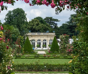 Paryż, Parc de Bagatelle, Ogród, Francja, Drzewa, Budynek, Kwiaty