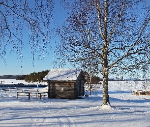 Zima, Tallberg, Dom, Szwecja, Szopa, Śnieg, Jezioro, Drzewa, Pomost