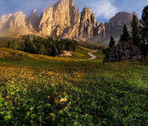 Dolomity, Droga, Góry, Łąki, Południowy Tyrol, Mgła, Włochy, Drzewa