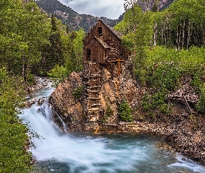 Crystal Mill, Skały, Młyn, Crystal River, Kolorado, Rzeka, Stany Zjednoczone, Drzewa