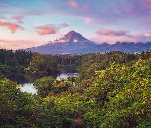 Wyspa Północna, Mount Taranaki, Nowa Zelandia, Góra, Drzewa, Park Narodowy Egmont, Rzeka, Lasy