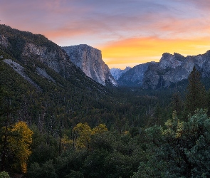 Las, Yosemite, Góry, Park Narodowy, Stan Kalifornia, Drzewa, Stany Zjednoczone, Zachód słońca