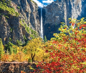 Stany Zjednoczone, Jesień, Bridalveil Falls, Skały, Drzewa, Wodospad, Kalifornia, Park Narodowy Yosemite, Góry