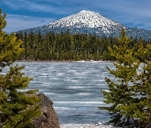 Mount Bachelor, Drzewa, Góra, Elk Lake, Oregon, Jezioro, Stany Zjednoczone, Sosny