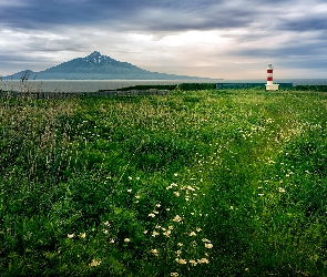 Wyspa Rishiri, Mount Rishiri, Kwiaty, Japonia, Góra, Łąka, Latarnia morska