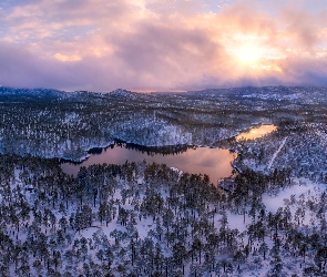 Góry, Drzewa, Zima, Goldwater Lake, Arizona, Jeziora, Stany Zjednoczone, Z lotu ptaka