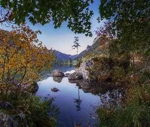 Skały, Krzewy, Liście, Drzewa, Jezioro Hintersee, Bawaria, Góry, Alpy, Niemcy, Gałęzie