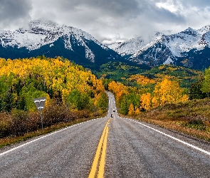 Stany Zjednoczone, Jesień, San Juan Mountains, Droga, Drzewa, Góry, Kolorado, Telluride, Szczyty