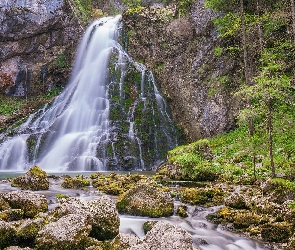 Wodospad Gollinger, Omszałe, Las, Kamienie, Powiat Hallein, Rzeka, Austria, Drzewa