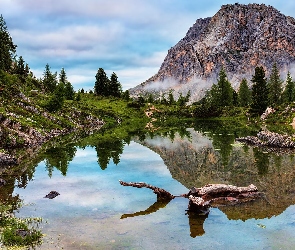 Odbicie, Drzewa, Lago di Limides, Włochy, Dolomity, Jezioro, Góry