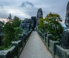 Drzewa, Formacja Bastei, Park Narodowy Saskiej Szwajcarii, Most, Góry Połabskie, Skały, Niemcy, Mgła