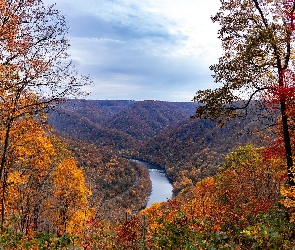 Wirginia Zachodnia, New River Gorge Bridge, Stany Zjednoczone, Rzeka, Drzewa, Wąwóz, Lasy, Jesień