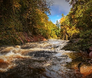 Edzell, Rzeka, Szkocja, Rwąca, Las, River North Esk, Jesień, Drzewa