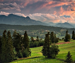 Zachód słońca, Dolina, Tatry, Polska, Drzewa, Góry, Polana