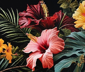 Hibiskusy, Liście, Grafika, Kwiaty