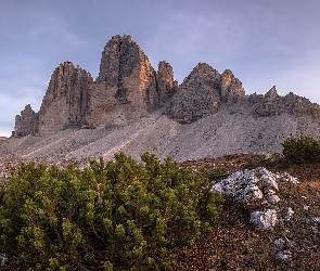 Dolomity, Skały, Góry, Tre Cime di Lavaredo, Roślinność, Szczyty, Włochy, Iglaki