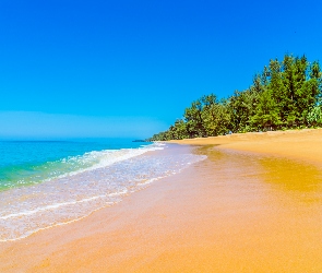 Niebo, Niebieskie, Ocean, Drzewa, Piasek, Lato, Plaża