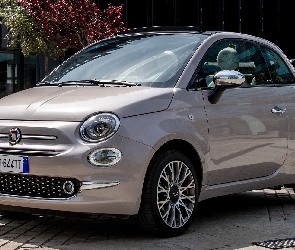 Fiat 500C Star