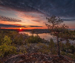 Karelia, Drzewa, Chmury, Rosja, Skały, Wschód słońca, Jezioro Ładoga