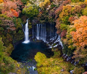 Park Narodowy Fudżi Hakone Izu, Prefektura Shizuoka, Drzewa, Japonia, Jesień, Kolorowe, Wodospad, Shiraito Falls, Skały