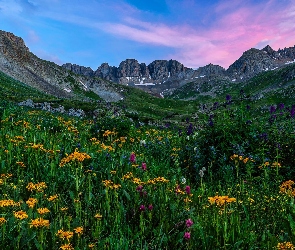 Stany Zjednoczone, Niebo, Kwiaty, Łąka, Skały, Polana, Kolorado, San Juan Mountains, Góry