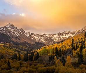 Jesień, Stan Kolorado, Mount Sneffels, Stany Zjednoczone, Wschód słońca, Góry, Kolorowe, Drzewa, Las