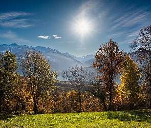 Drzewa, Słoneczny, Jesień, Alpy Pennińskie, Kanton Valais, Góry, Szwajcaria, Blask