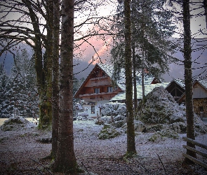 Słowenia, Gostišče Erlah, Zima, Domek gościnny Erlah, Krzewy, Bohinj, Śnieg, Drzewa