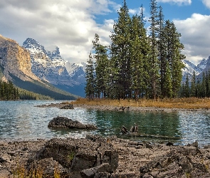 Jezioro, Skały, Góry, Drzewa, Alberta, Maligne Lake, Kanada, Park Narodowy Jasper