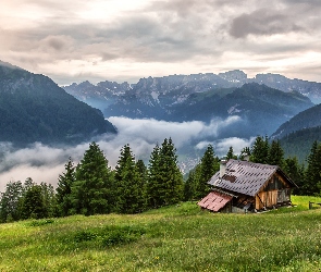 Polana, Drzewa, Góry, Włochy, Dom, Chmury, Dolomity