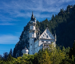 Zamek Neuschwanstein, Niemcy, Bawaria, Gmina Schwangau, Drzewa