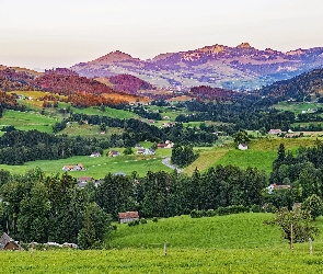 Gmina Stein, Wzgórza, Alpy Szwajcarskie, Szwajcaria, Drzewa, Góry, Domy