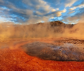 Gejzer, Wyoming, Midway Geyser Basin, Stany Zjednoczone Gejzer, Park Narodowy Yellowstone, Drzewa, Źródło termalne, Grand Prismatic Spring, Para