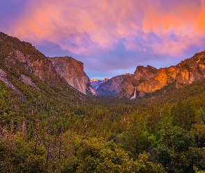 Drzewa, Skały, Kalifornia, Roślinność, Góry, Stany Zjednoczone, Park Narodowy Yosemite