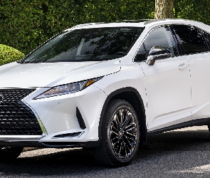 Lexus RX Moonlight Edition