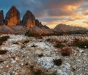 Rośliny, Kamienie, Dolomity, Włochy, Skały, Góry, Tre Cime di Lavaredo