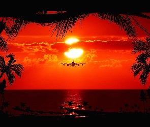 Słońca, Samolot, Palmy, Morze, Zachód