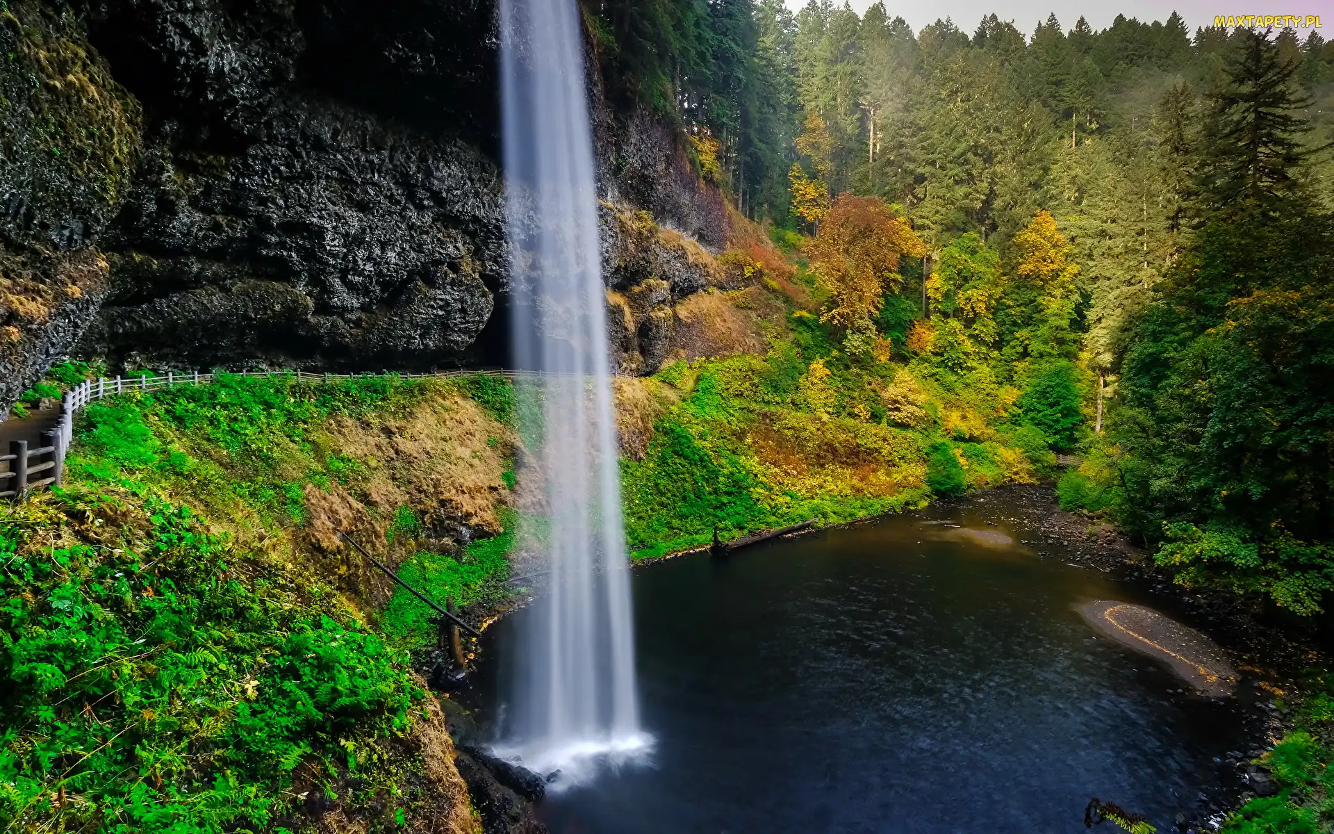 Tapety zdjęcia Wodospad South Falls Stan Oregon Roślinność Stany