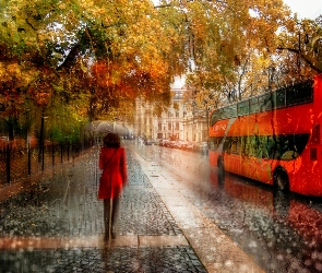 Parasol, Kobieta, Deszcz, Jesień, Ulica, Autobus