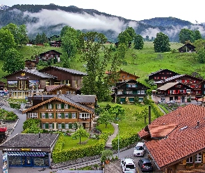 Górska, Drzewa, Wioska, Domy, Mgła, Grindelwald, Szwajcaria, Alpy