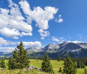 Chmury, Łąki, Davos, Szwajcaria, Góry Albula-Alpen, Drzewa