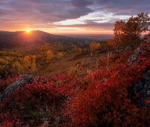 Zachód słońca, Brzozy, Góry Ałtaj, Drzewa, Republika Ałtaju, Jesień, Rosja, Skały
