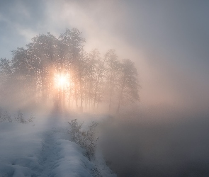 Mgła, Rzeka, Drzewa, Promienie słońca, Zima