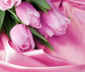 Tulipany, Materiał, Różowe