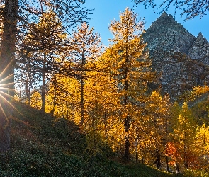 Jesień, Promienie słońca, Góry, Drzewa