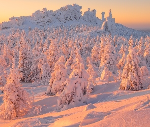 Zima, Ural, Wschód słońca, Rosja, Góry, Zaspy, Drzewa, Świerki, Ośnieżone